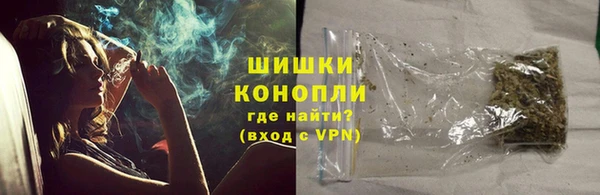 молекула духа Арсеньев