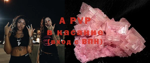 молекула духа Арсеньев