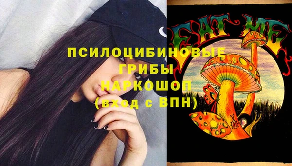 крисы Аркадак