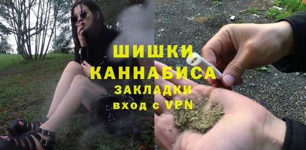 сатива Армянск
